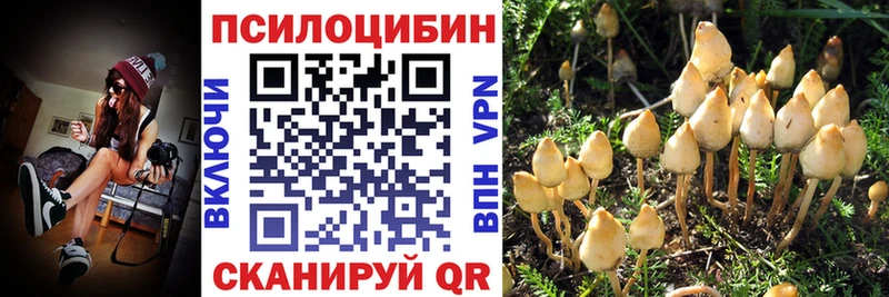 Галлюциногенные грибы мухоморы  площадка наркотические препараты  Гуково 