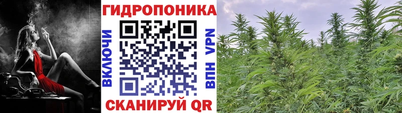 где купить наркоту Гуково Конопля AK-47